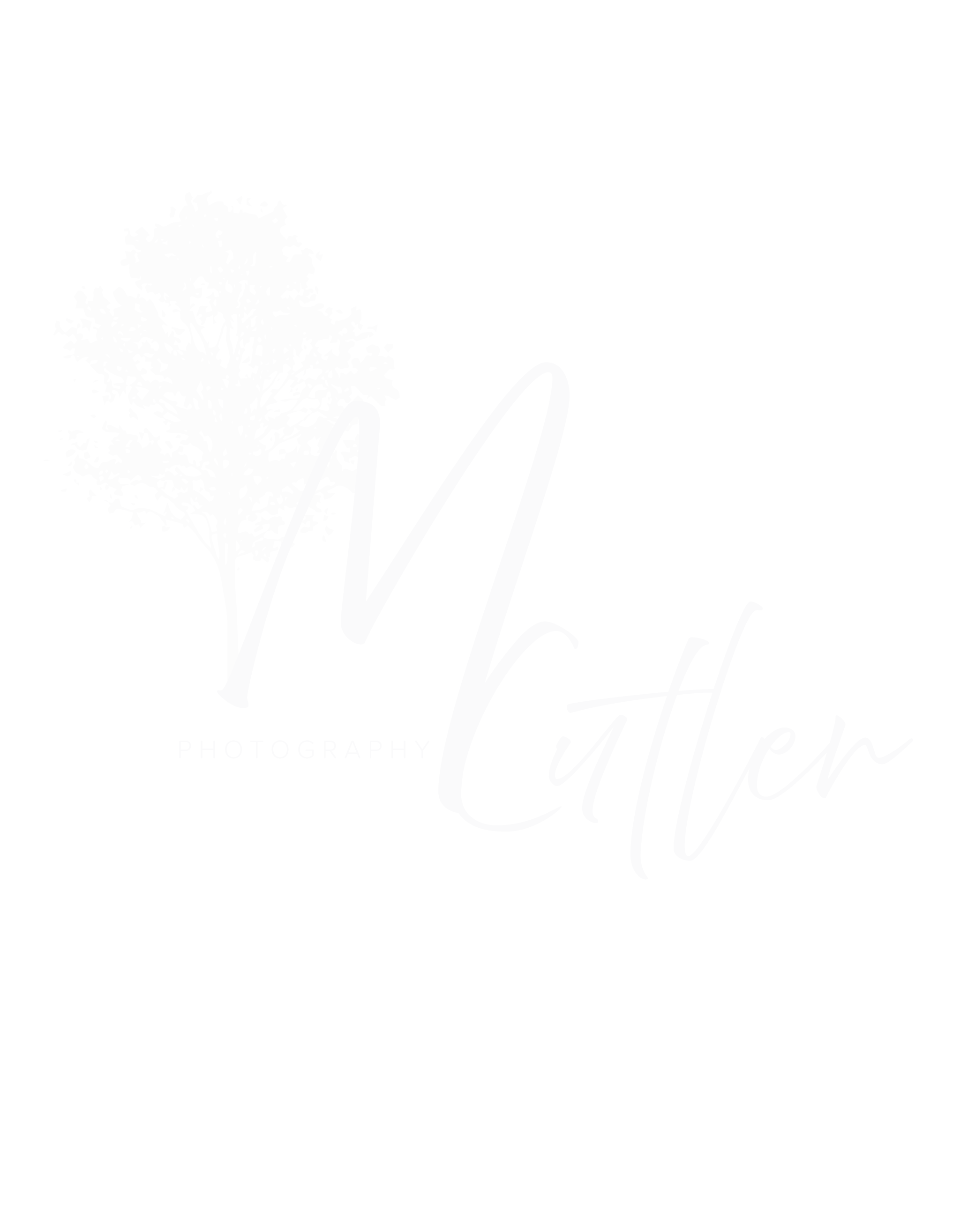 M Cutler Photography